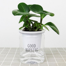 Lade das Bild in den Galerie-Viewer, Self Watering Plant Pot (Buy 1 Get 1 Free)
