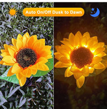 Lade das Bild in den Galerie-Viewer, Sunflower Solar Light - 2 Pack nebula-light.com