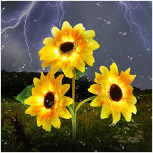 Lade das Bild in den Galerie-Viewer, Sunflower Solar Light - 2 Pack nebula-light.com