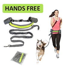 Load image into Gallery viewer, Adjustable Hands Free Dog Leash cjdropshipping