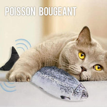 Lade das Bild in den Galerie-Viewer, Jouet de Simulation de Poisson pour Chat Charge USB ciaovie