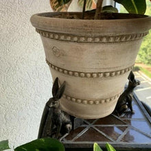 Lade das Bild in den Galerie-Viewer, Pieds De Pot En Forme d'Animal Mignon (3 PCS ) ciaovie