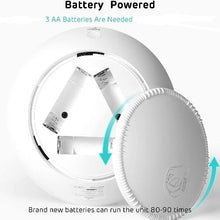 Load image into Gallery viewer, Cat Fish Chaser Toy