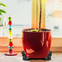 Lade das Bild in den Galerie-Viewer, Pieds De Pot En Forme d'Animal Mignon (3 PCS ) ciaovie