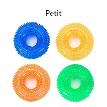 Load image into Gallery viewer, Balle Vocale Jouet pour Chien à Mordre ciaovie