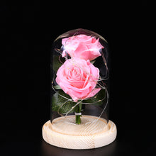 Lade das Bild in den Galerie-Viewer, Romantic Immortal Flower Micro Landscape Rose Simulation Glass Shade Led Llight cjdropshipping