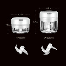 Lade das Bild in den Galerie-Viewer, 100/250ml Mini USB Wireless Electric Garlic Masher Press Mincer Vegetable Chili Meat Grinder Food Chopper Kitchen Tools eprolo