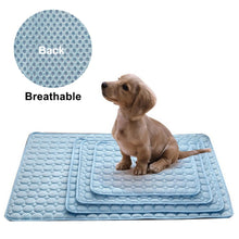 Lade das Bild in den Galerie-Viewer, Washable Pets Cooling Mat OMG Shop Zone