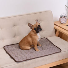 Lade das Bild in den Galerie-Viewer, Washable Pets Cooling Mat OMG Shop Zone