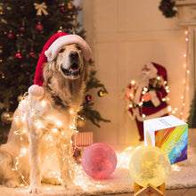 Lade das Bild in den Galerie-Viewer, 16 Color Changing Rechargeable   LED Night Light with 3D Moon Print OMG Shop Zone