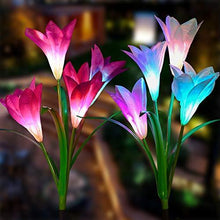Lade das Bild in den Galerie-Viewer, Solar Powered Lily Flower Light - 2 Pack nebula-light.com