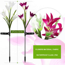 Lade das Bild in den Galerie-Viewer, Solar Powered Lily Flower Light - 2 Pack nebula-light.com
