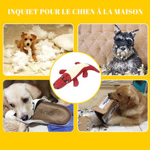 Lade das Bild in den Galerie-Viewer, Jouet de Crocodile pour Animaux de Compagnie ciaovie