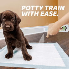 Lade das Bild in den Galerie-Viewer, Potty Command Spray Imagineitem