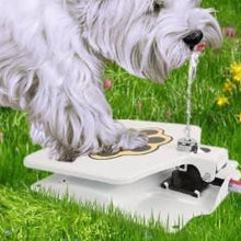 Lade das Bild in den Galerie-Viewer, Dog Water Fountain