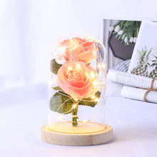 Lade das Bild in den Galerie-Viewer, Romantic Immortal Flower Micro Landscape Rose Simulation Glass Shade Led Llight cjdropshipping