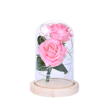 Lade das Bild in den Galerie-Viewer, Romantic Immortal Flower Micro Landscape Rose Simulation Glass Shade Led Llight cjdropshipping