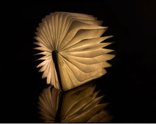 Lade das Bild in den Galerie-Viewer, Magical Book Lamp