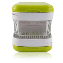 Lade das Bild in den Galerie-Viewer, Small Garlic Press with Stainless Steel Blades