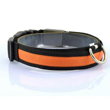 Lade das Bild in den Galerie-Viewer, LED Pet Collar