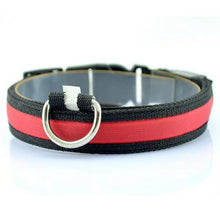 Lade das Bild in den Galerie-Viewer, LED Pet Collar