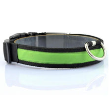 Lade das Bild in den Galerie-Viewer, LED Pet Collar