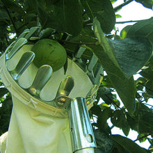 Lade das Bild in den Galerie-Viewer, Fruit Picker