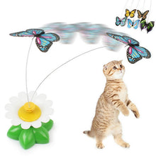 Lade das Bild in den Galerie-Viewer, Happy Cat Play Butterfly