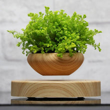 Lade das Bild in den Galerie-Viewer, Wooden Levitating Planter