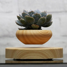 Lade das Bild in den Galerie-Viewer, Wooden Levitating Planter