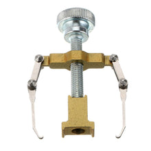 Lade das Bild in den Galerie-Viewer, INGROWN NAIL CORRECTOR