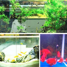 Lade das Bild in den Galerie-Viewer, Water Purifier Cube (🎉SPECIAL OFFER 50% OFF)🎉 MBFFT