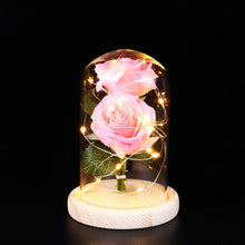 Lade das Bild in den Galerie-Viewer, Romantic Immortal Flower Micro Landscape Rose Simulation Glass Shade Led Llight cjdropshipping
