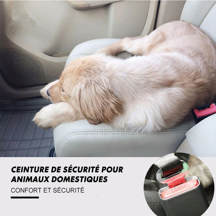 Ceinture de Sécurité Ajustable Pour Animaux de Compagnie ciaovie