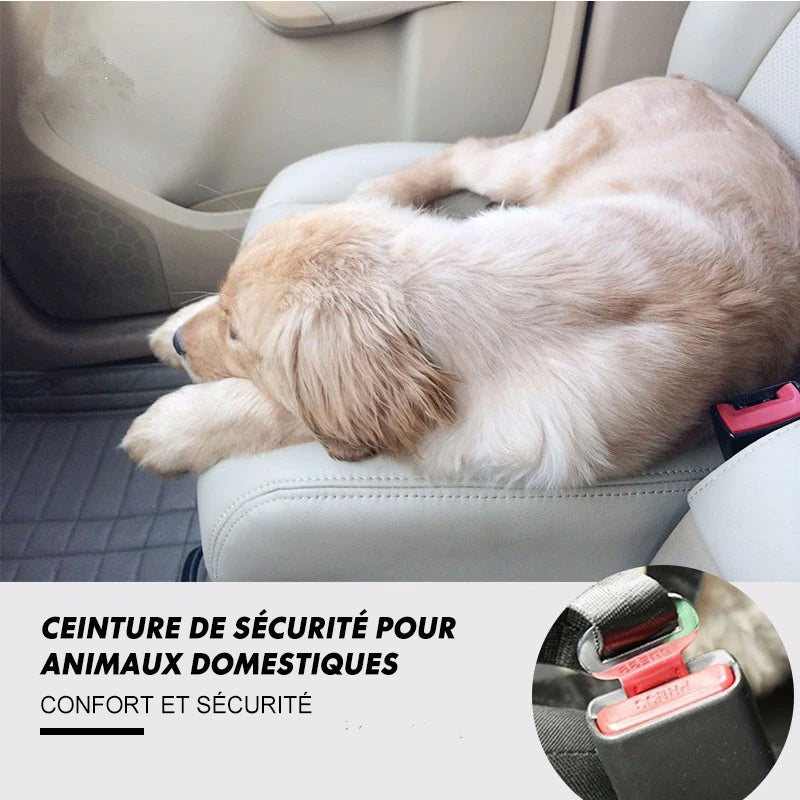 Ceinture de Sécurité Ajustable Pour Animaux de Compagnie ciaovie