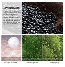 Lade das Bild in den Galerie-Viewer, LANBENA Lip Essence Lip Care Essence Enhances Lips Elasticity Lips cjdropshipping
