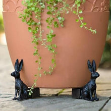 Lade das Bild in den Galerie-Viewer, Pieds De Pot En Forme d&#39;Animal Mignon (3 PCS ) ciaovie
