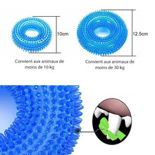 Load image into Gallery viewer, Balle Vocale Jouet pour Chien à Mordre ciaovie
