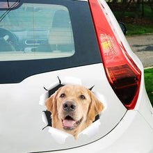 Load image into Gallery viewer, Autocollant de Voiture de Mignon Animal créatif en simulation 3D ciaovie
