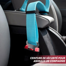 Load image into Gallery viewer, Ceinture de Sécurité Ajustable Pour Animaux de Compagnie ciaovie
