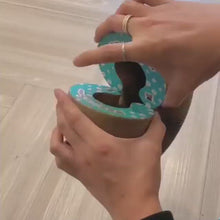 Laden und Abspielen von Videos im Galerie-Viewer, Magic Organ Cat Scratching Board--Comes with a toy bell ball
