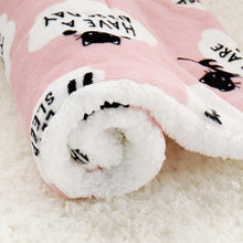 Lade das Bild in den Galerie-Viewer, Warm Pet Sleeping Blanket, Mat, Bed, Cover OMG Shop Zone
