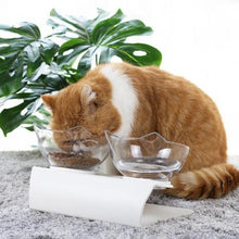 Lade das Bild in den Galerie-Viewer, Super Feed Cat Bowls BayFinds
