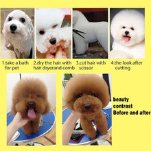 Lade das Bild in den Galerie-Viewer, Stainless Steel Pet Dogs Grooming Scissors Set(5pcs) OMG Shop Zone
