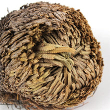 Lade das Bild in den Galerie-Viewer, ROSE OF JERICHO
