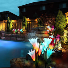 Lade das Bild in den Galerie-Viewer, Solar Powered Lily Flower Light - 2 Pack nebula-light.com
