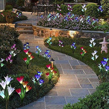Lade das Bild in den Galerie-Viewer, Solar Powered Lily Flower Light - 2 Pack nebula-light.com
