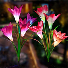 Lade das Bild in den Galerie-Viewer, Solar Powered Lily Flower Light - 2 Pack nebula-light.com
