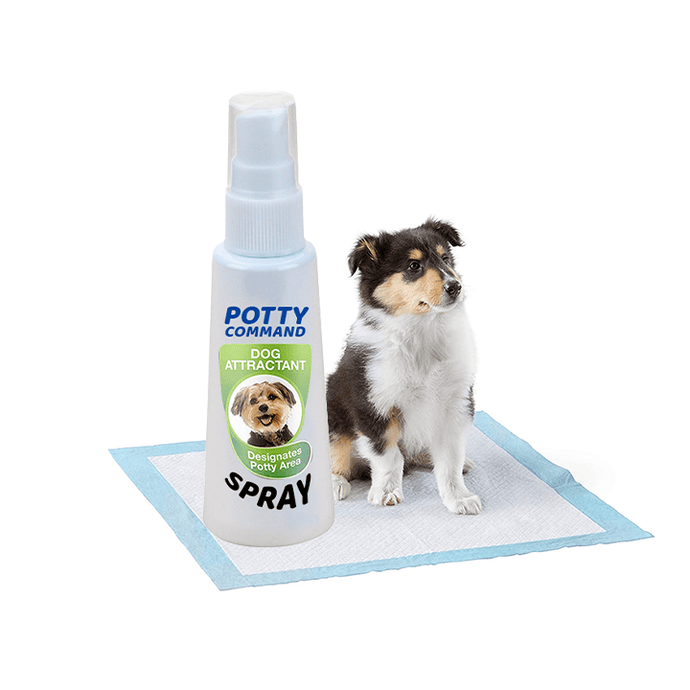 Potty Command Spray Imagineitem