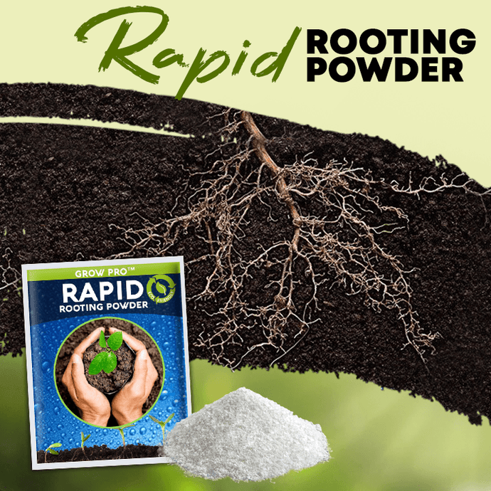 Rapid Rooting Powder (4 packs) Imagineitem